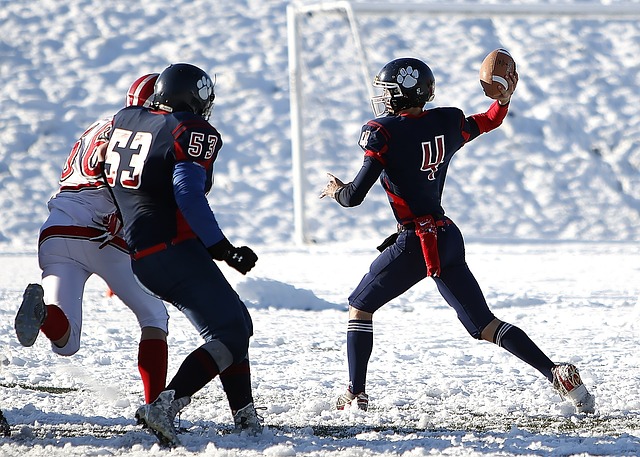 不仅揭示了 不仅揭示了