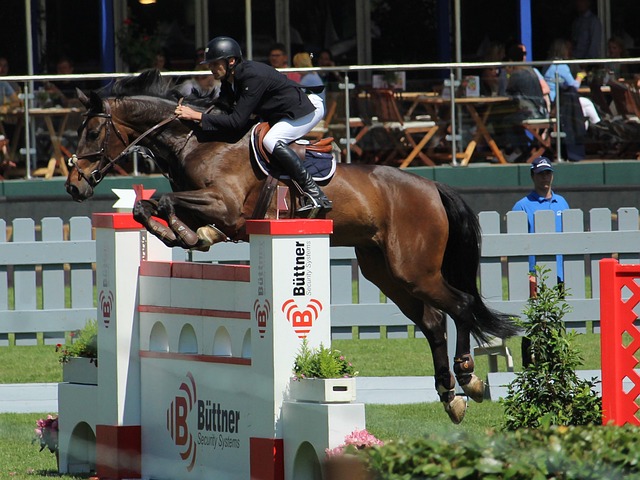 詹姆斯能站 詹姆斯能站