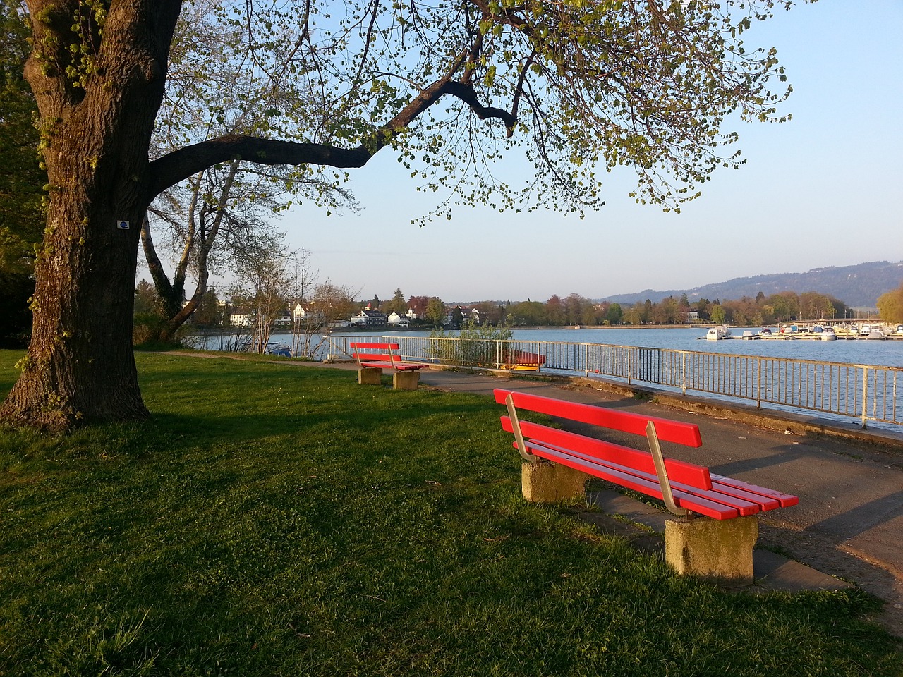 馬拉西亞的 馬拉西亞的